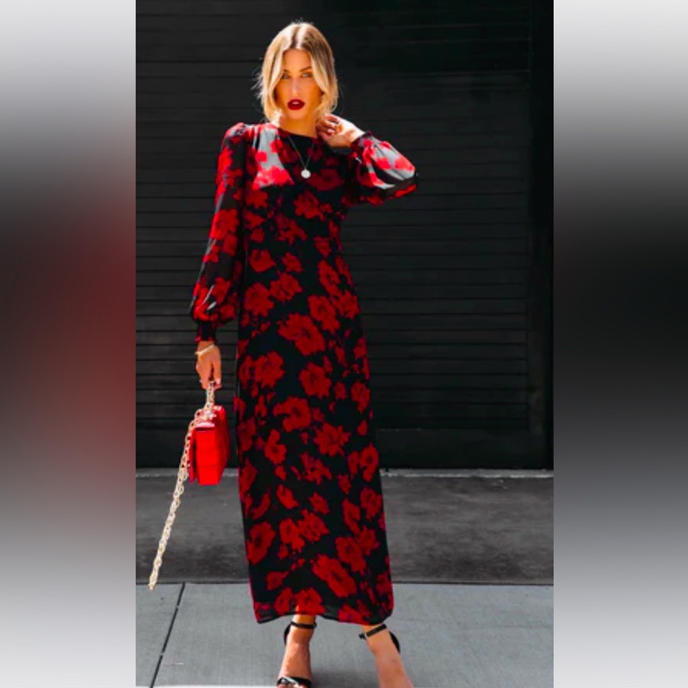 VICI dress - long sleeve, maxi length XS